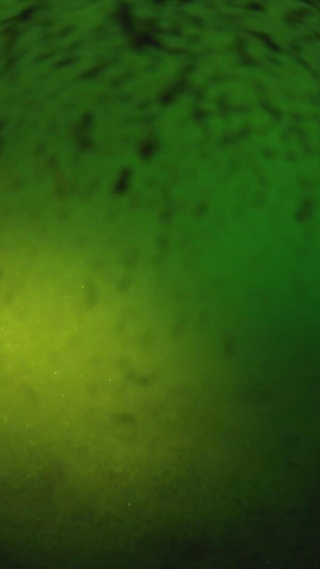 lander_ipcam_20240629053601.png
