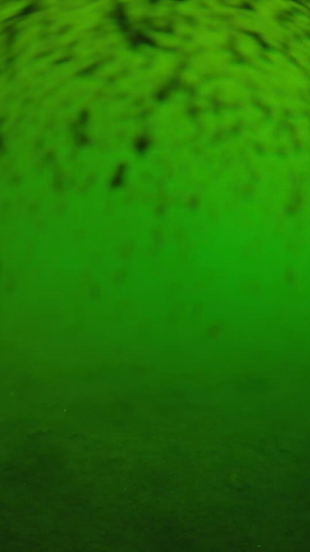 lander_ipcam_20240629100538.png