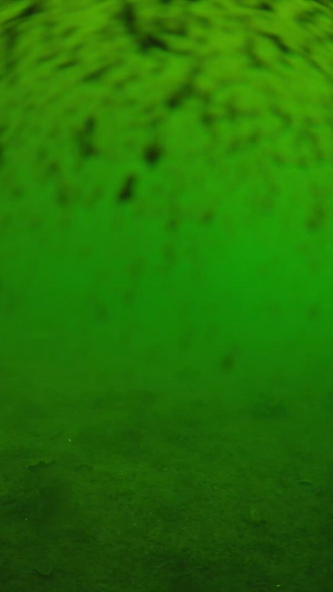 lander_ipcam_20240629103610.png