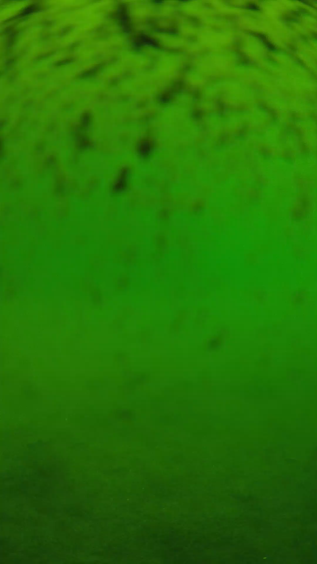lander_ipcam_20240629110543.png