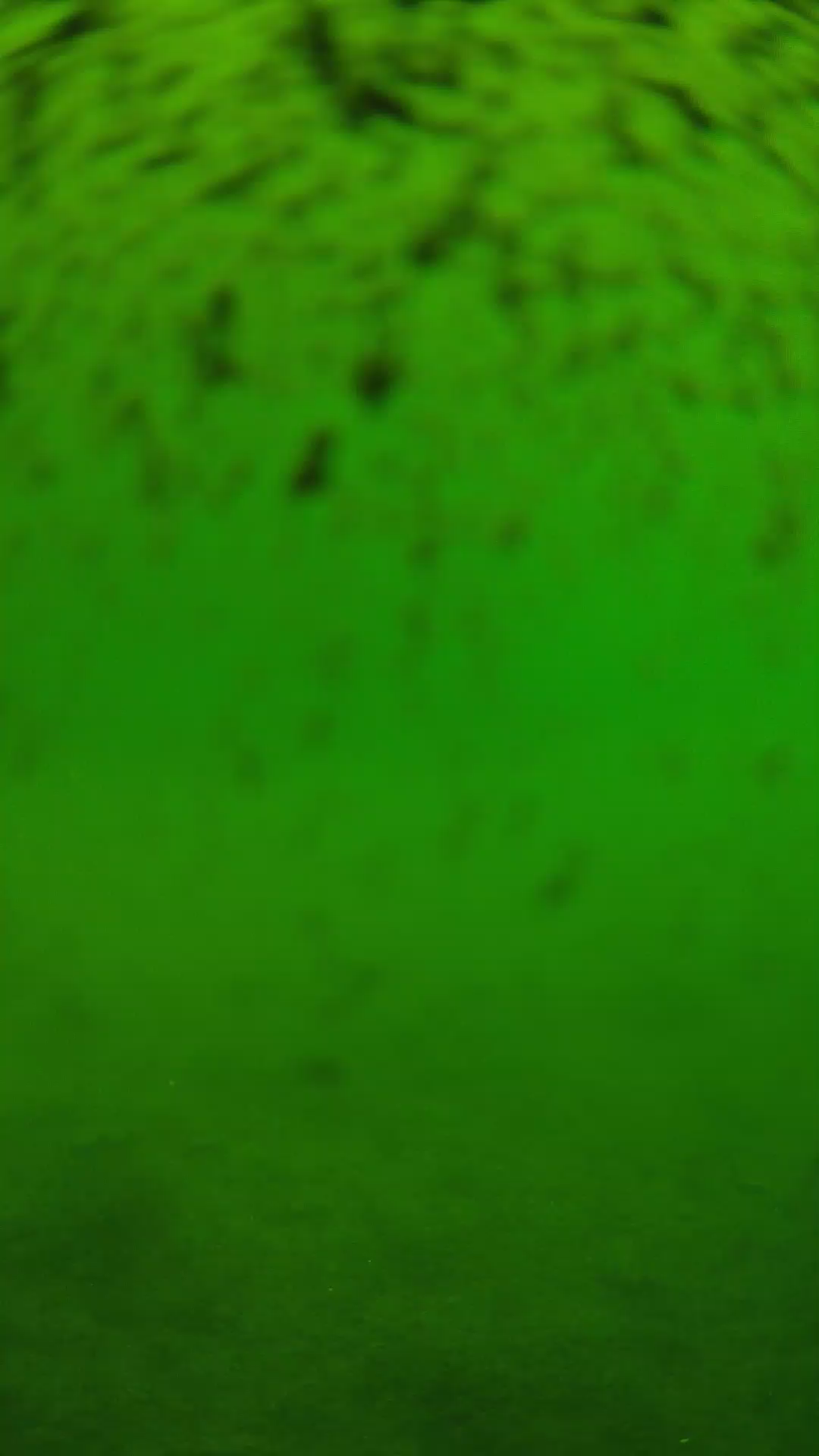 lander_ipcam_20240629110547.png