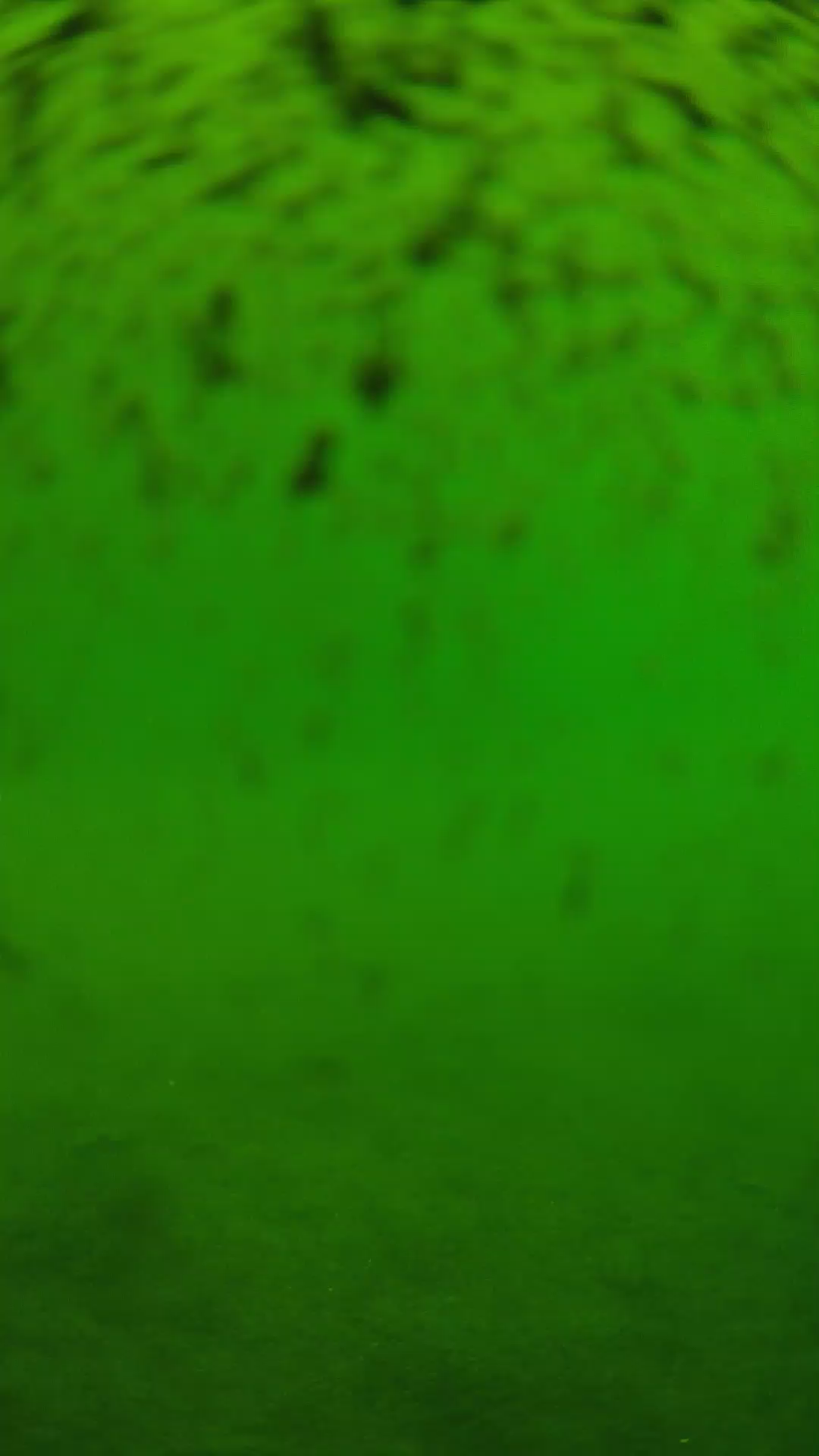 lander_ipcam_20240629110549.png