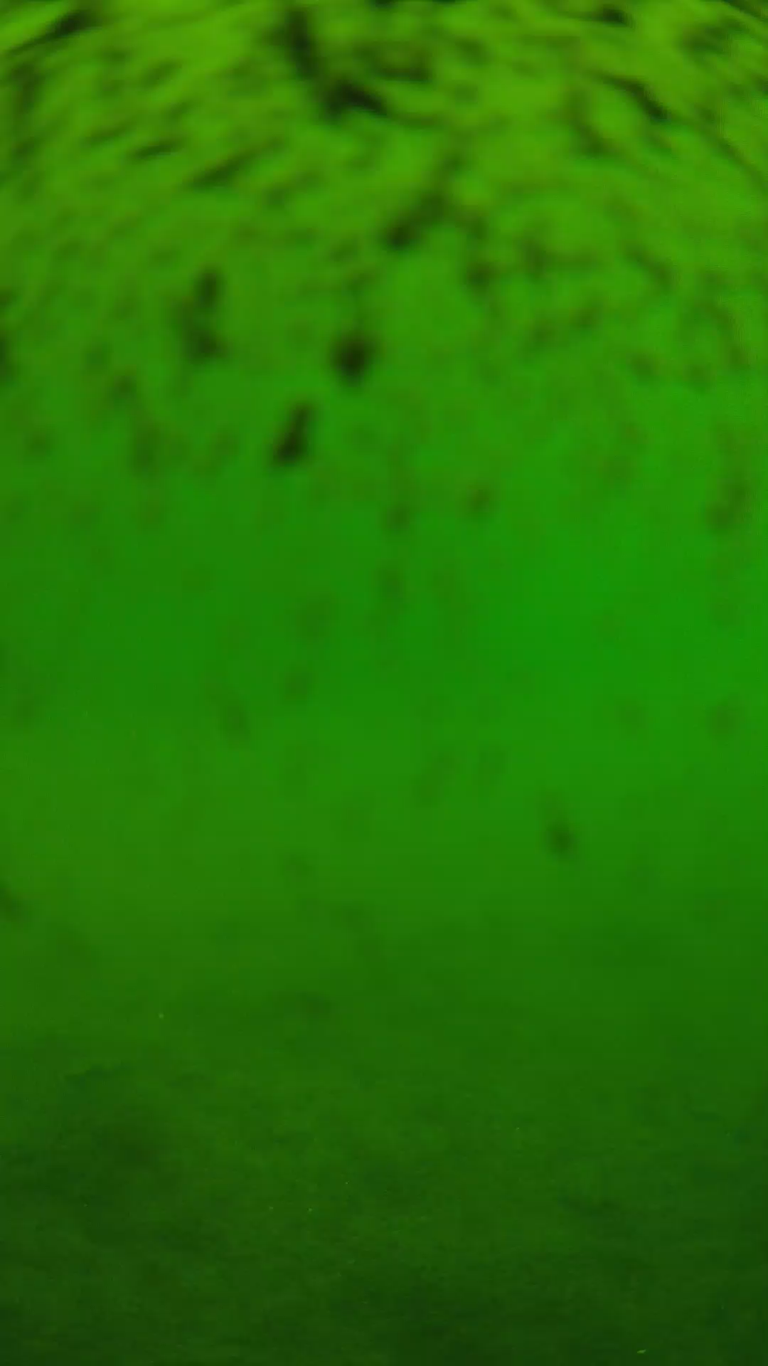 lander_ipcam_20240629110551.png