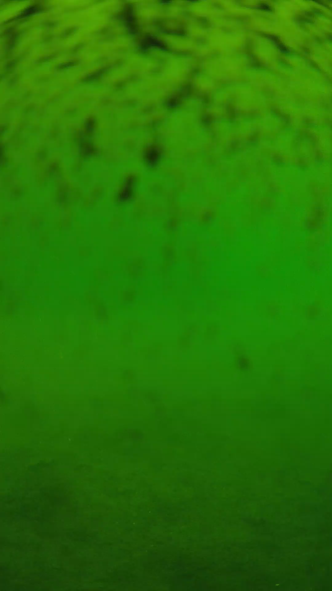 lander_ipcam_20240629110553.png