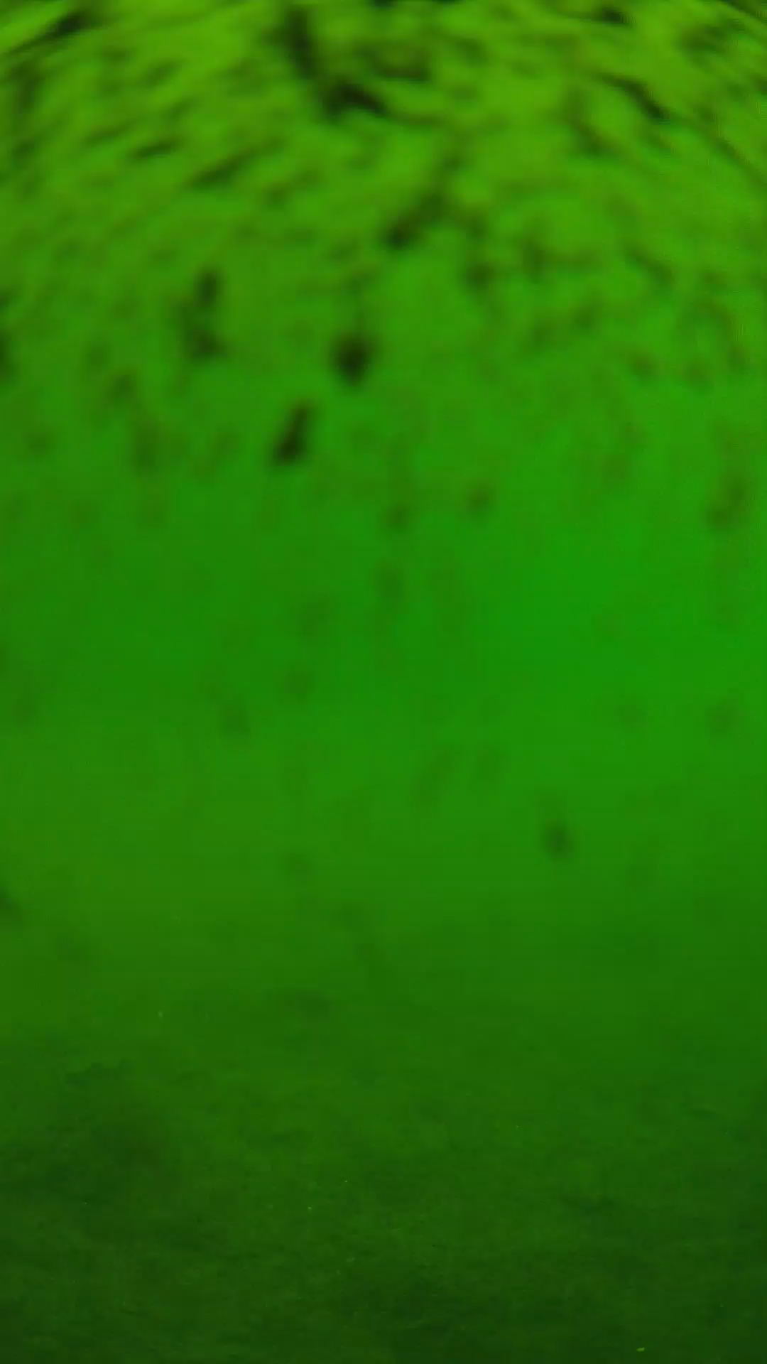 lander_ipcam_20240629110556.png