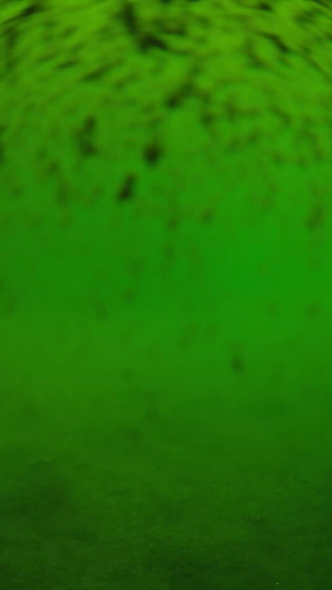 lander_ipcam_20240629110558.png