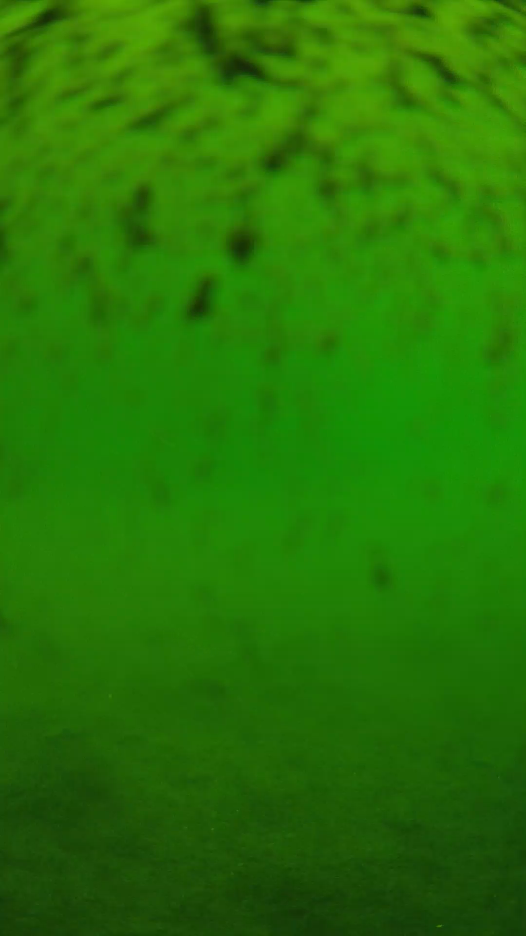 lander_ipcam_20240629110604.png