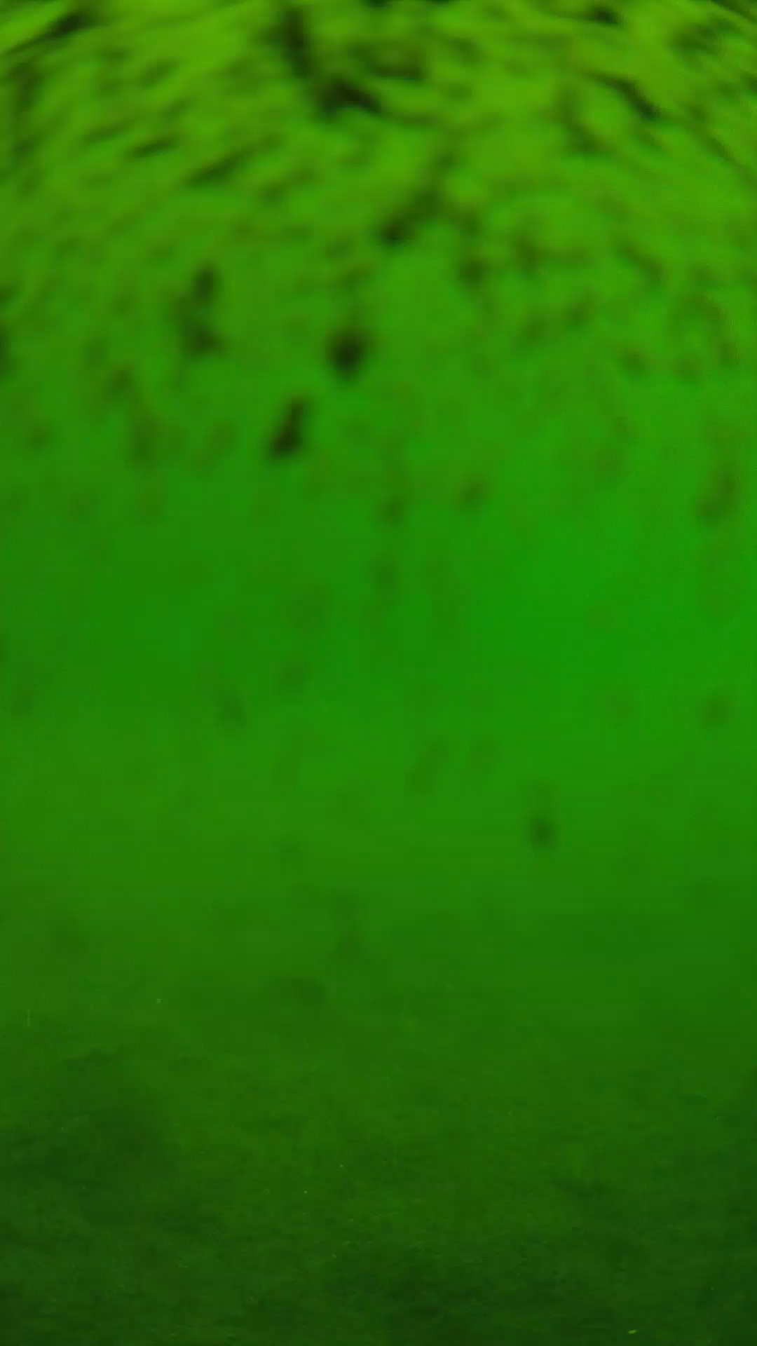 lander_ipcam_20240629110606.png