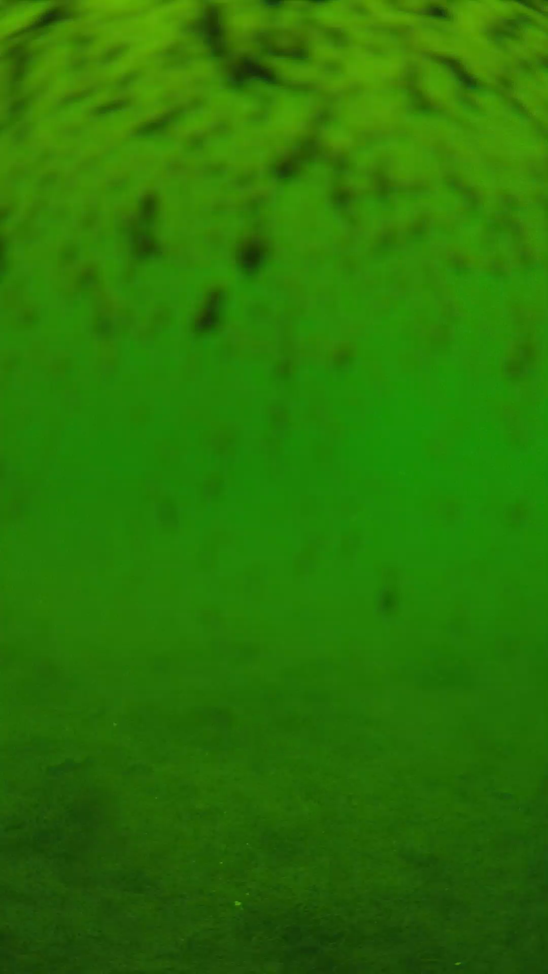 lander_ipcam_20240629113545.png