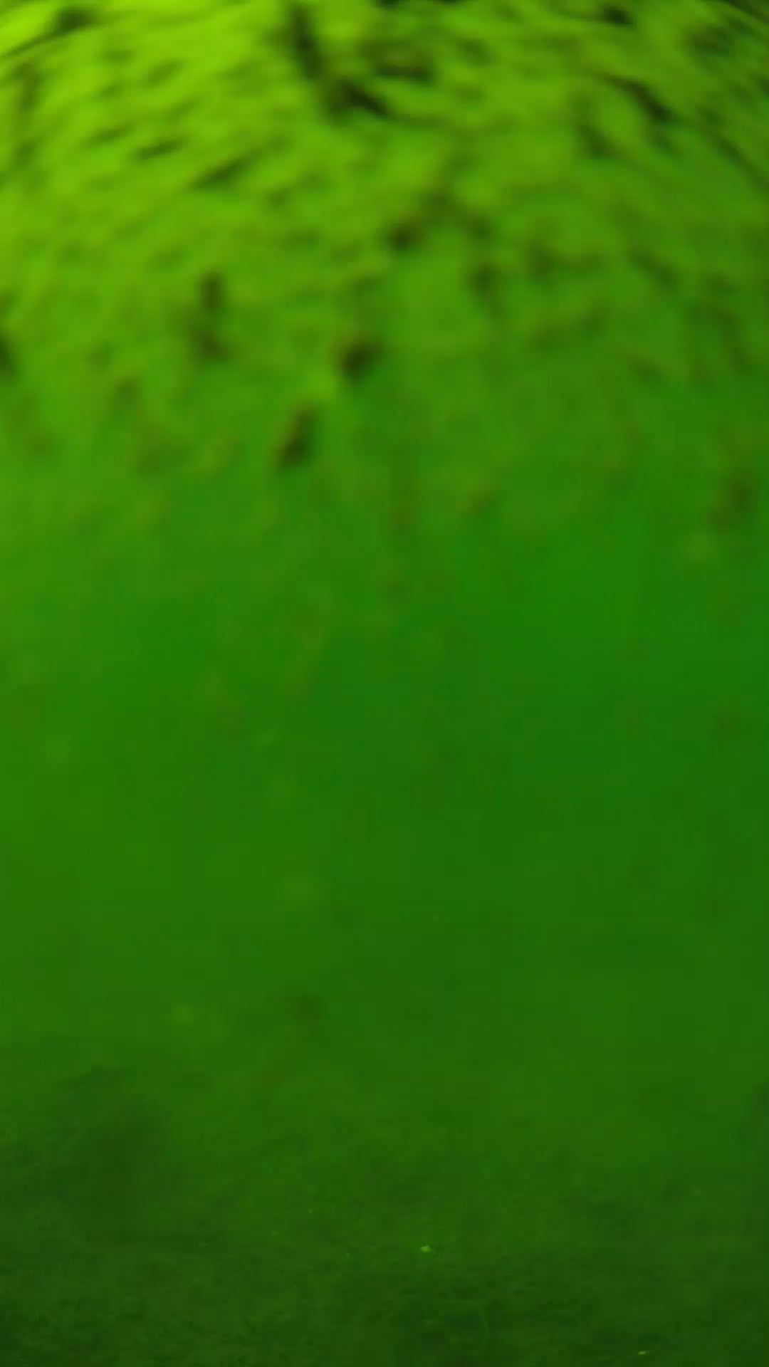 lander_ipcam_20240629143538.png