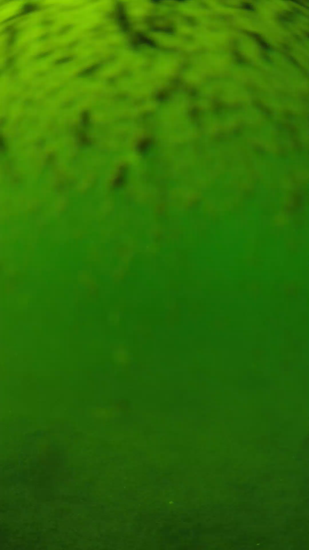 lander_ipcam_20240629143544.png