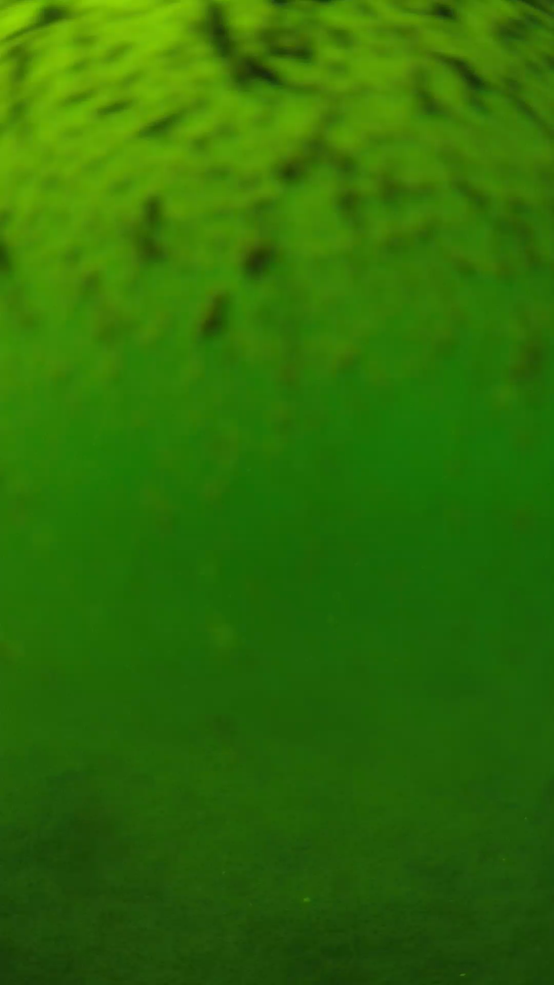 lander_ipcam_20240629143547.png