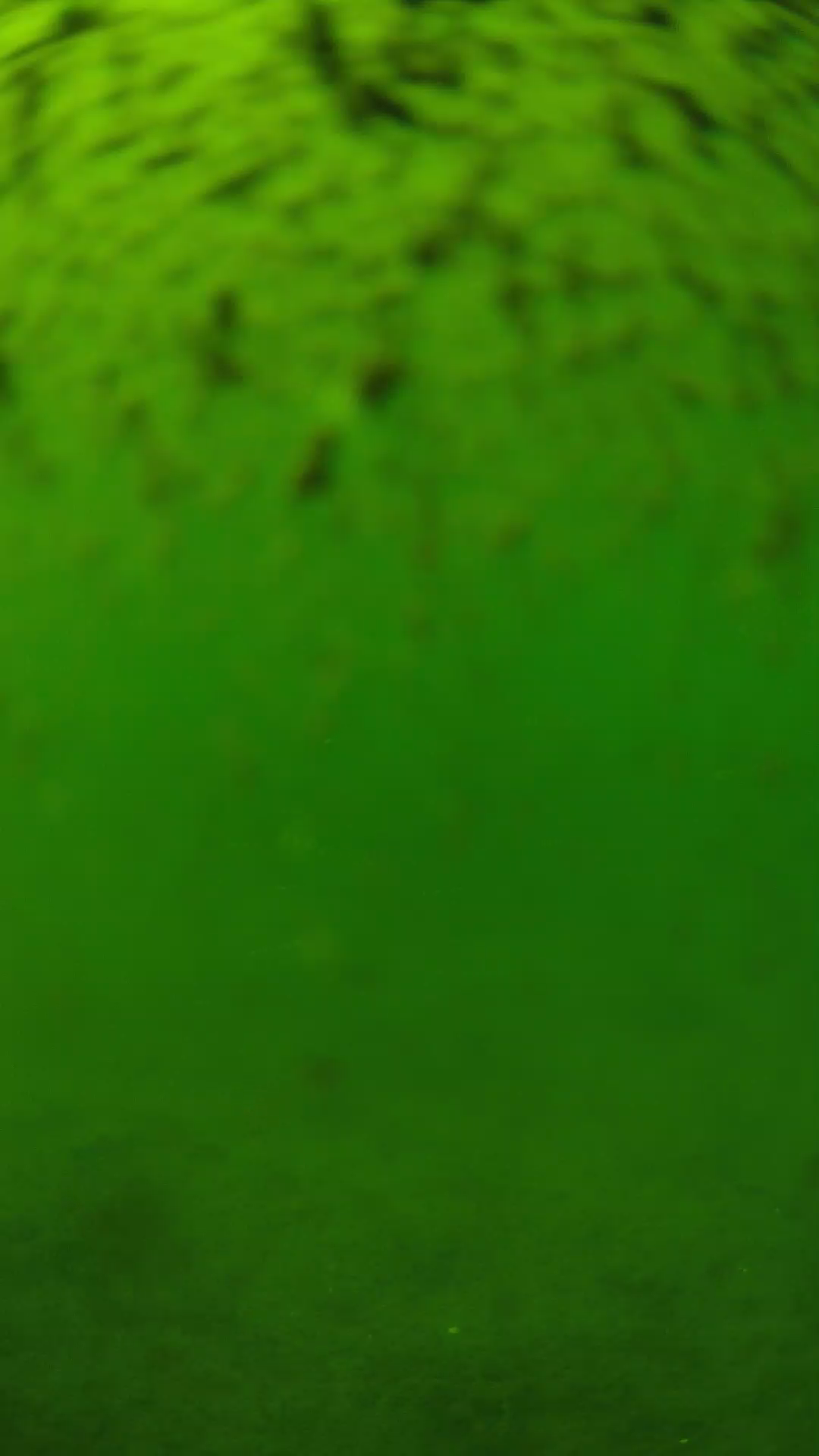 lander_ipcam_20240629143549.png