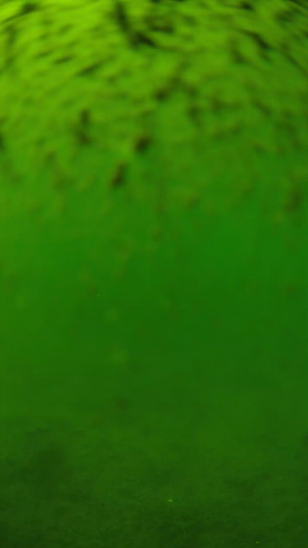 lander_ipcam_20240629143551.png