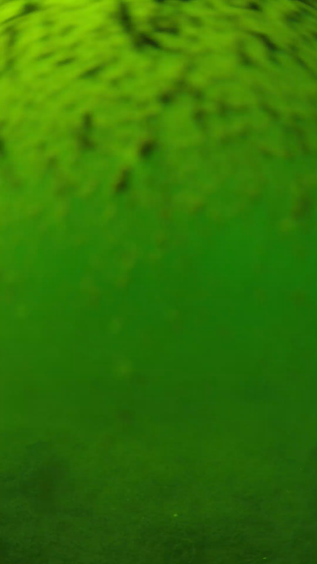 lander_ipcam_20240629143604.png