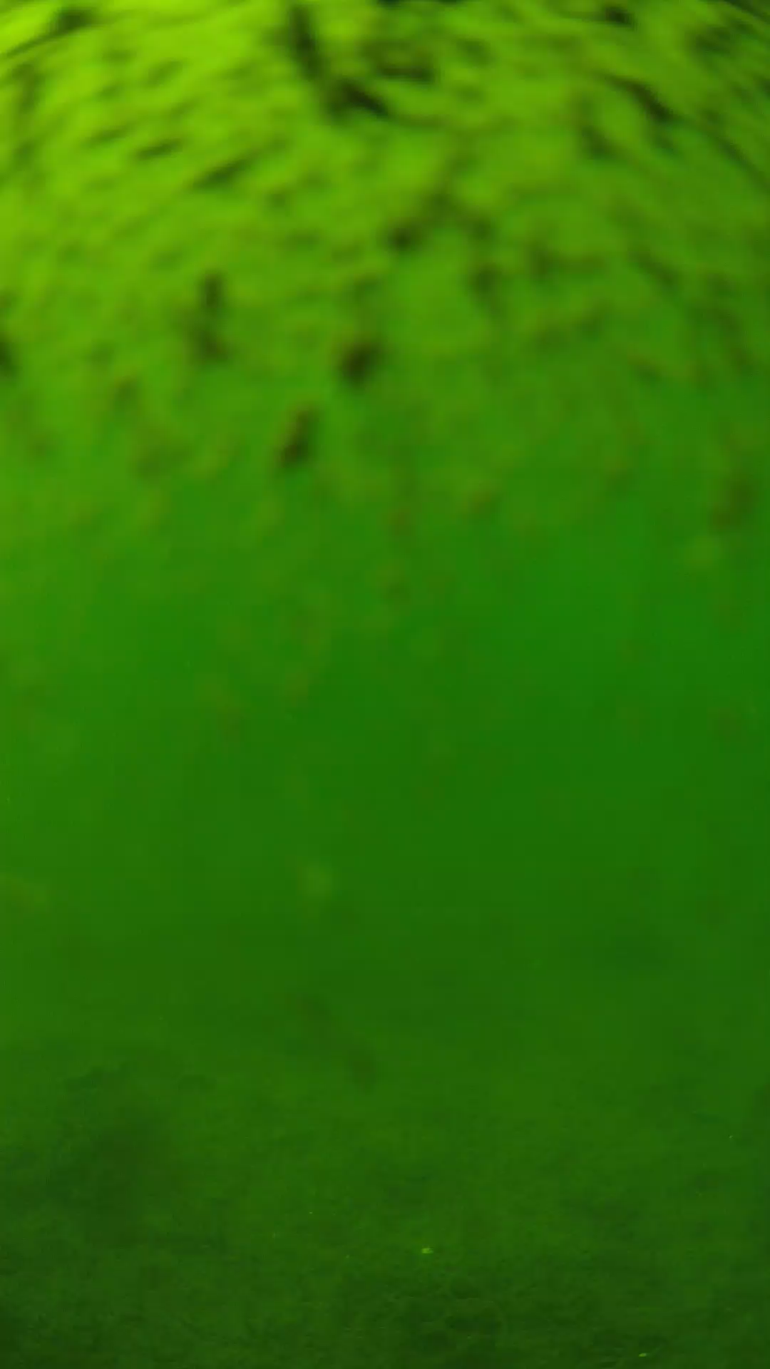 lander_ipcam_20240629143607.png