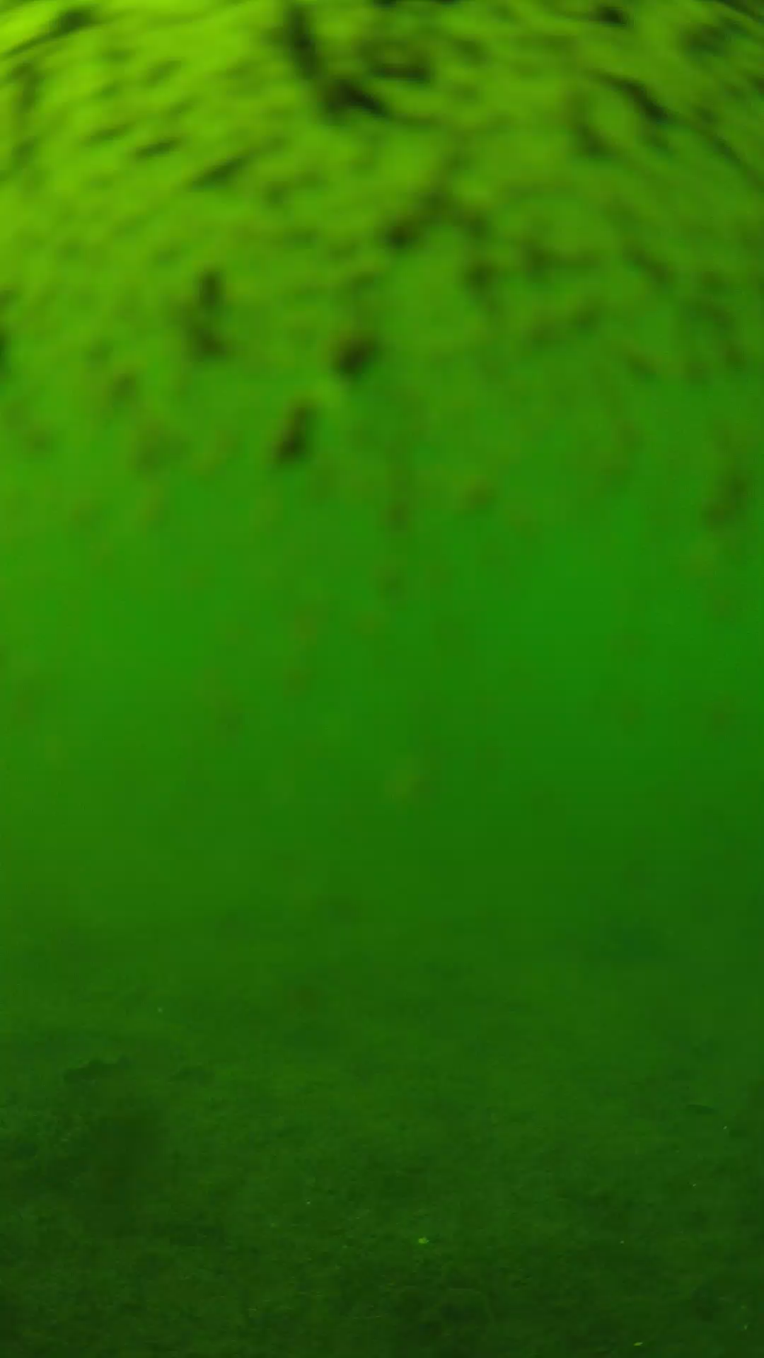 lander_ipcam_20240629150539.png
