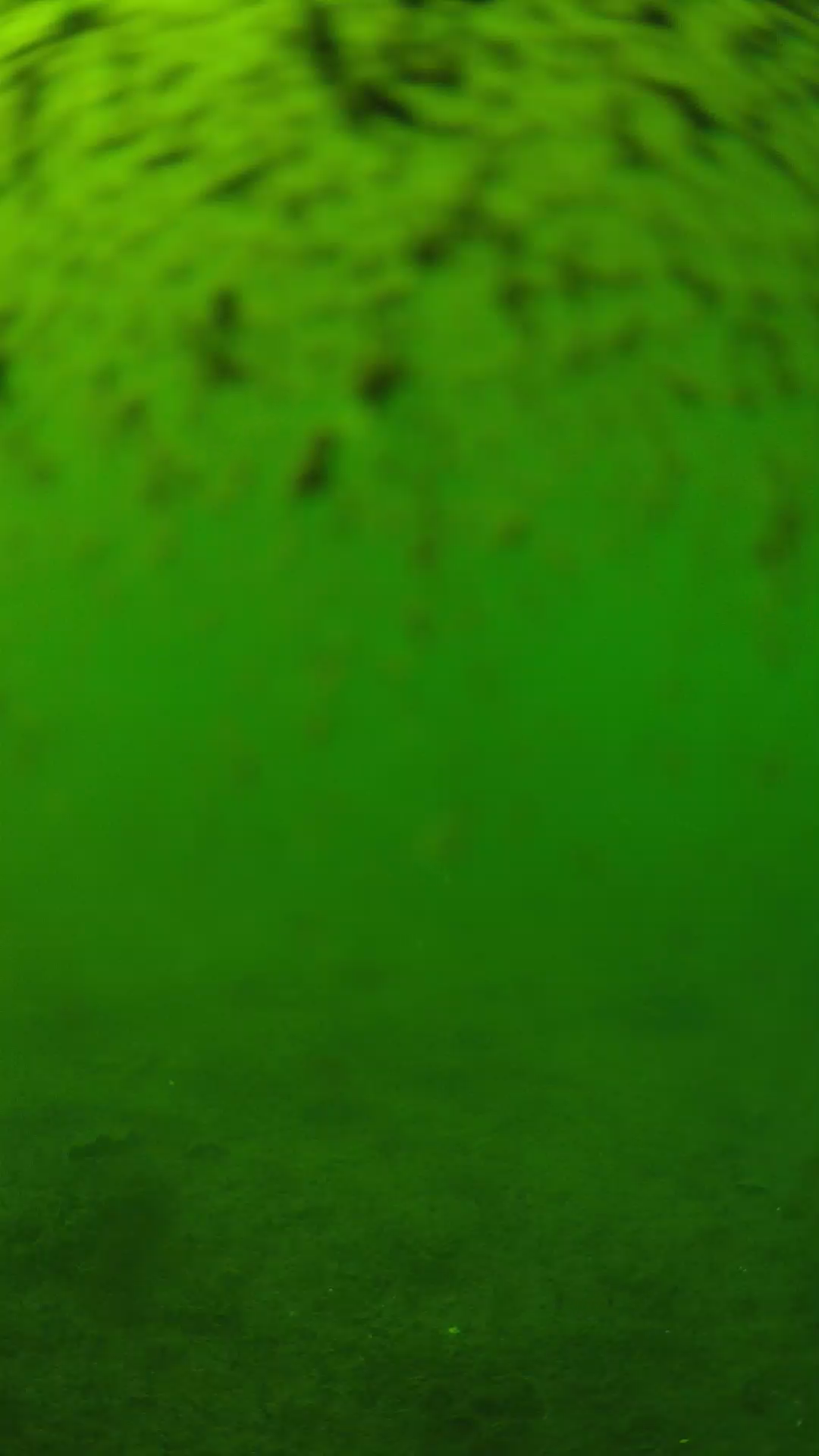 lander_ipcam_20240629150552.png