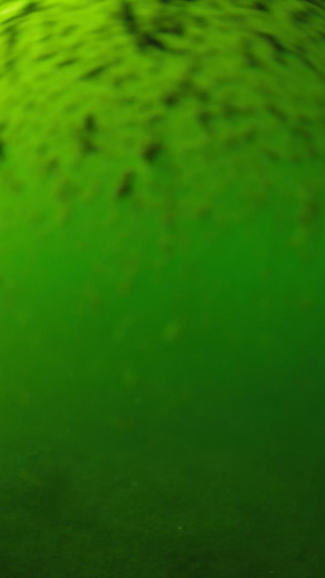 lander_ipcam_20240629160546.png