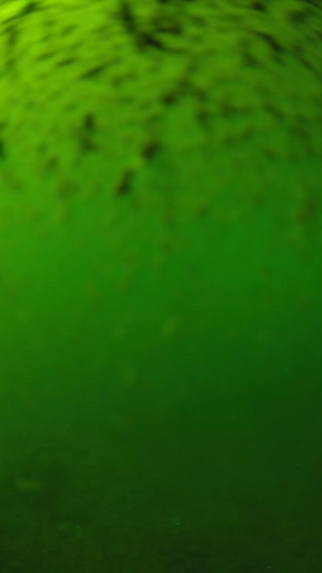 lander_ipcam_20240629160558.png