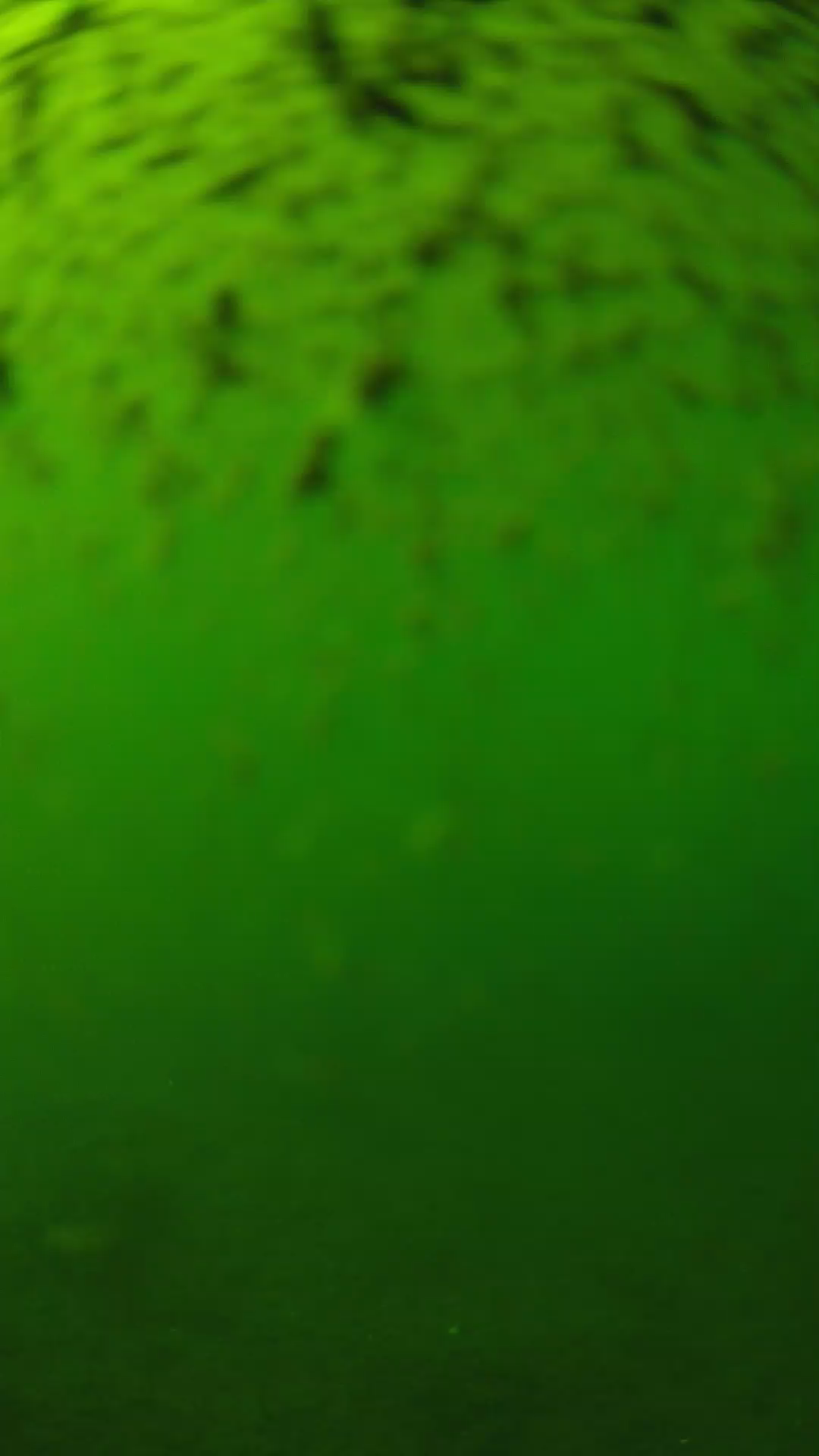 lander_ipcam_20240629160604.png