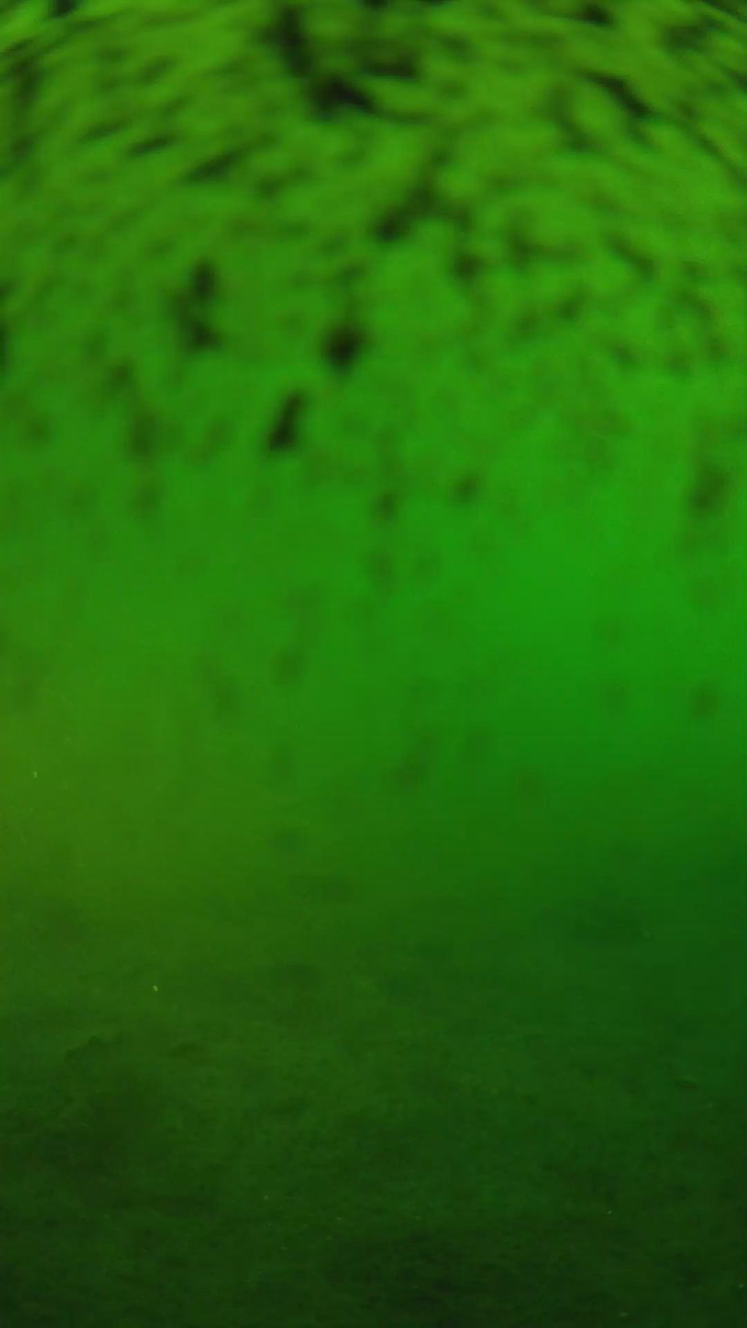 lander_ipcam_20240629183608.png