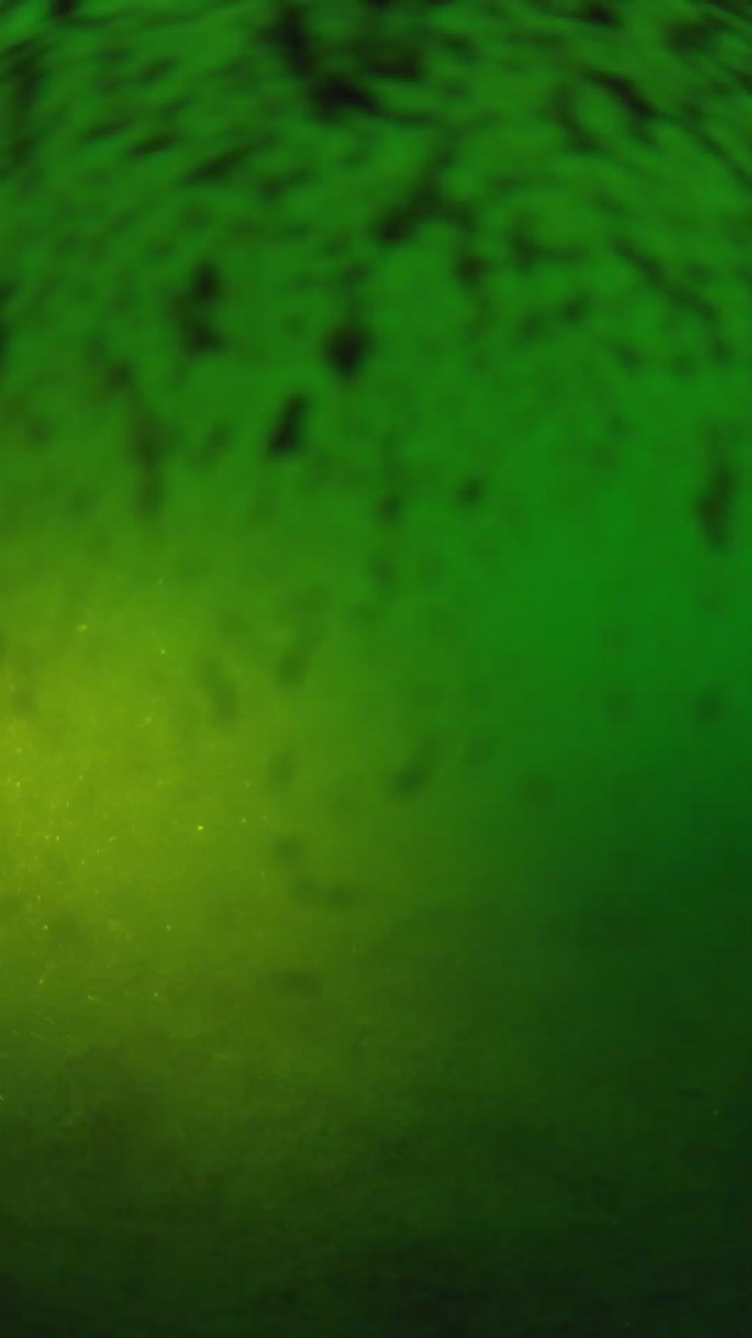 lander_ipcam_20240629190542.png