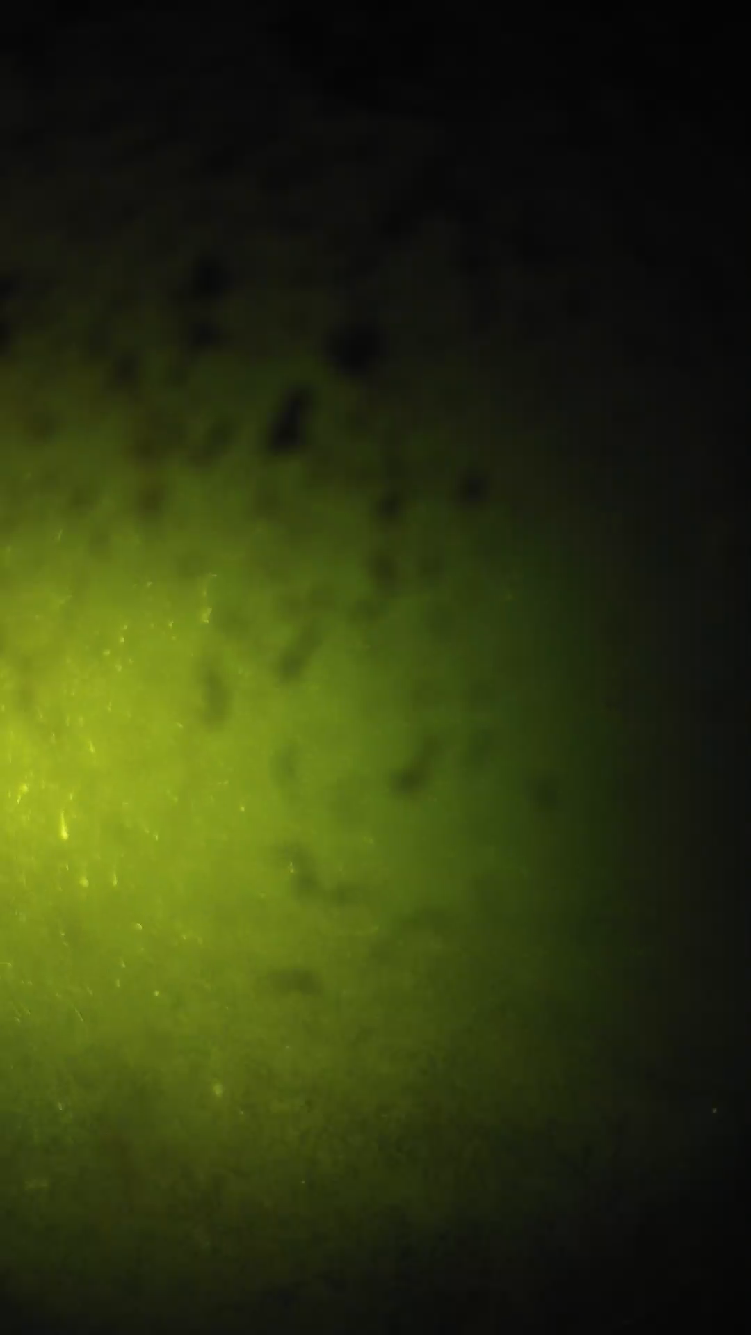 lander_ipcam_20240629203551.png