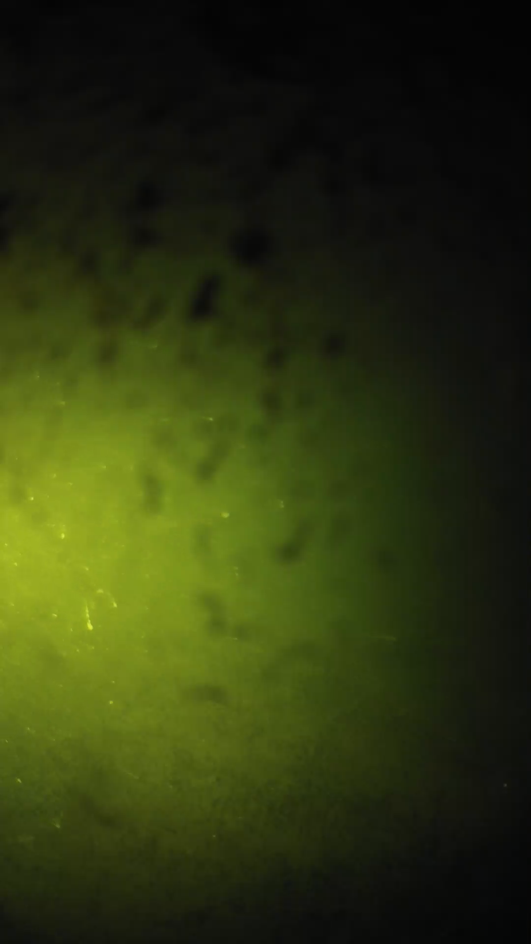 lander_ipcam_20240629203556.png