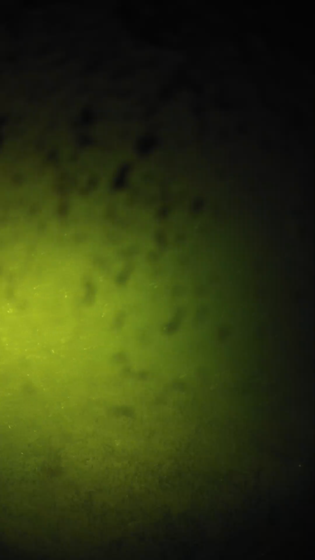 lander_ipcam_20240629210542.png