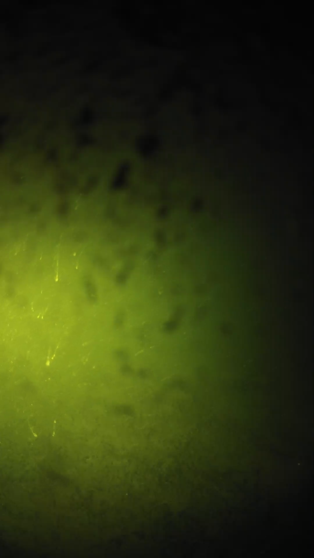 lander_ipcam_20240629210549.png