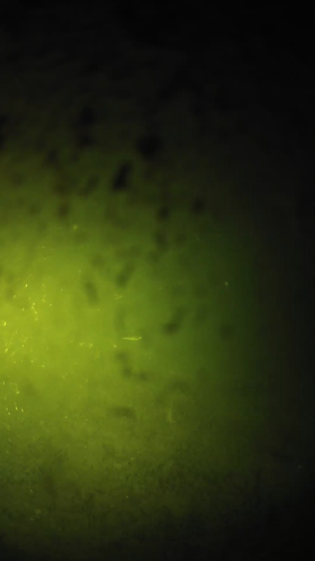 lander_ipcam_20240629213541.png
