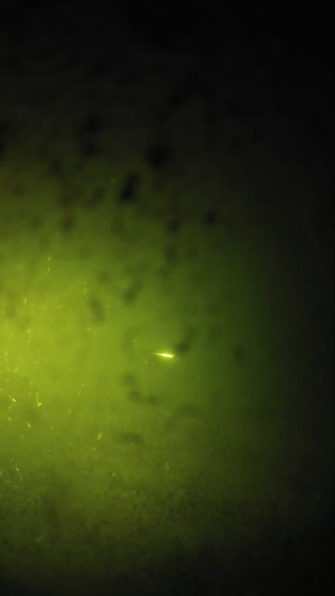 lander_ipcam_20240629213543.png