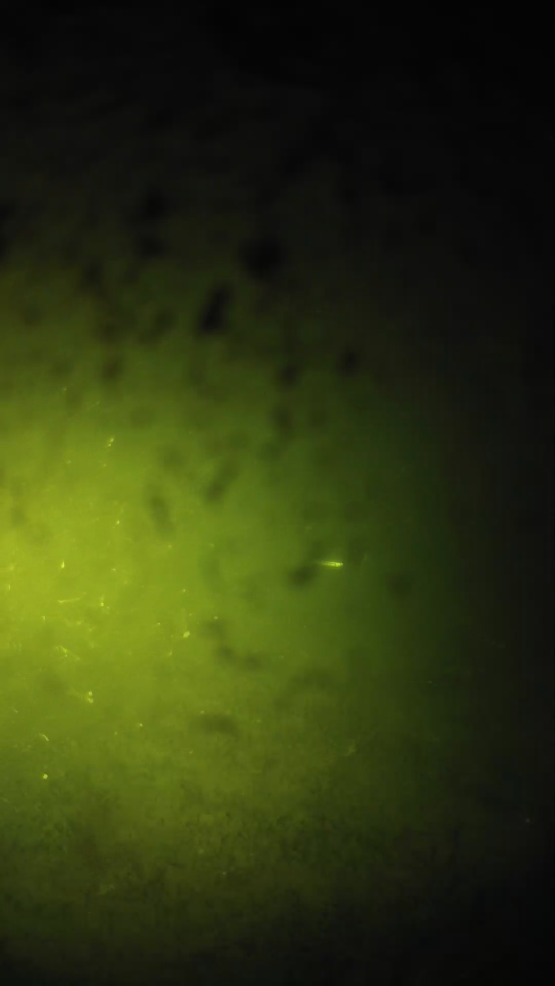 lander_ipcam_20240629213547.png