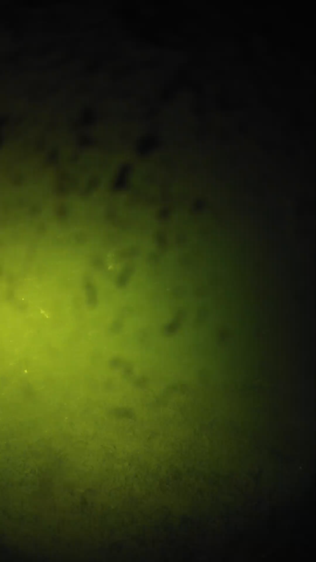 lander_ipcam_20240629220539.png