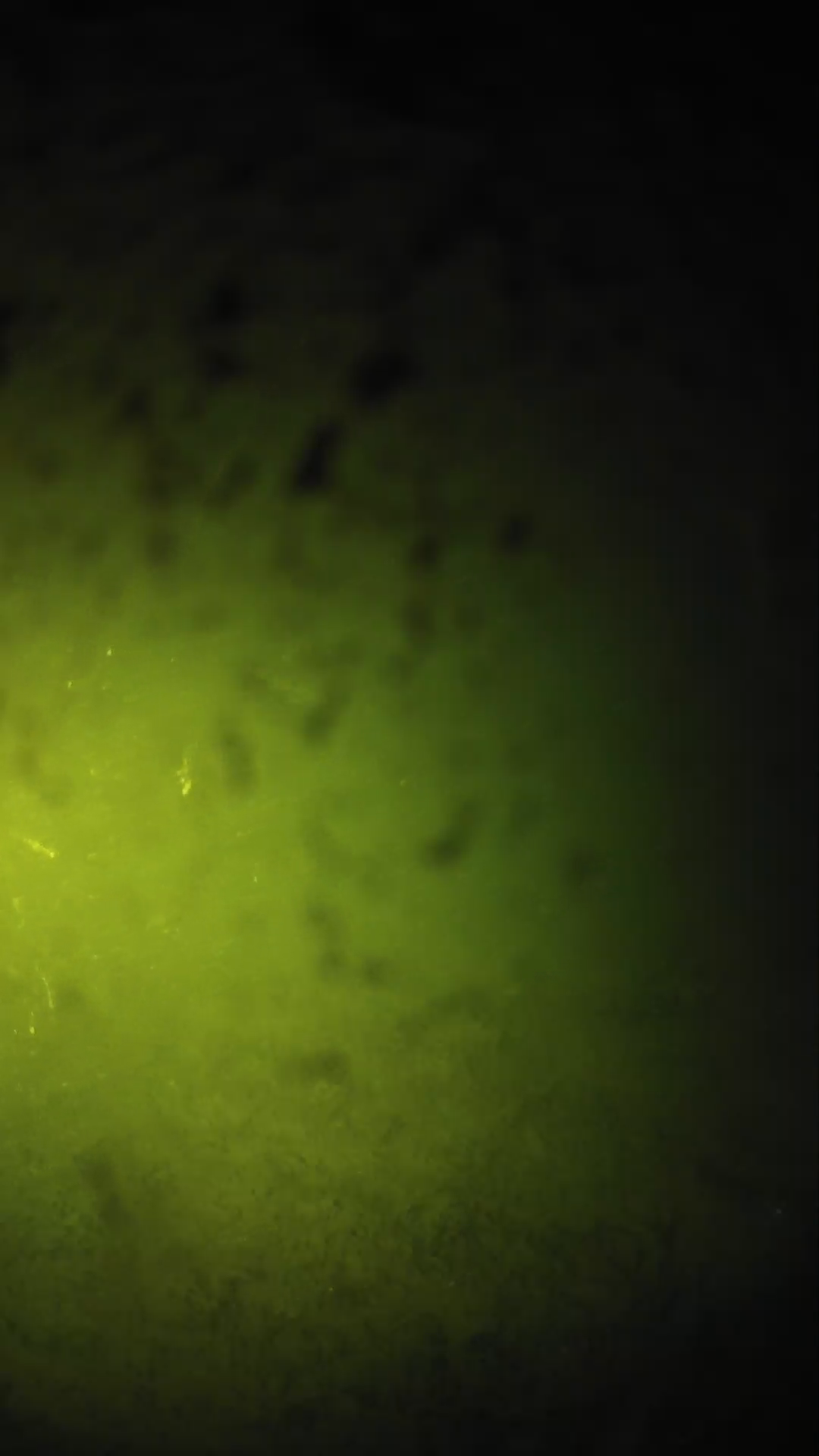 lander_ipcam_20240629220541.png
