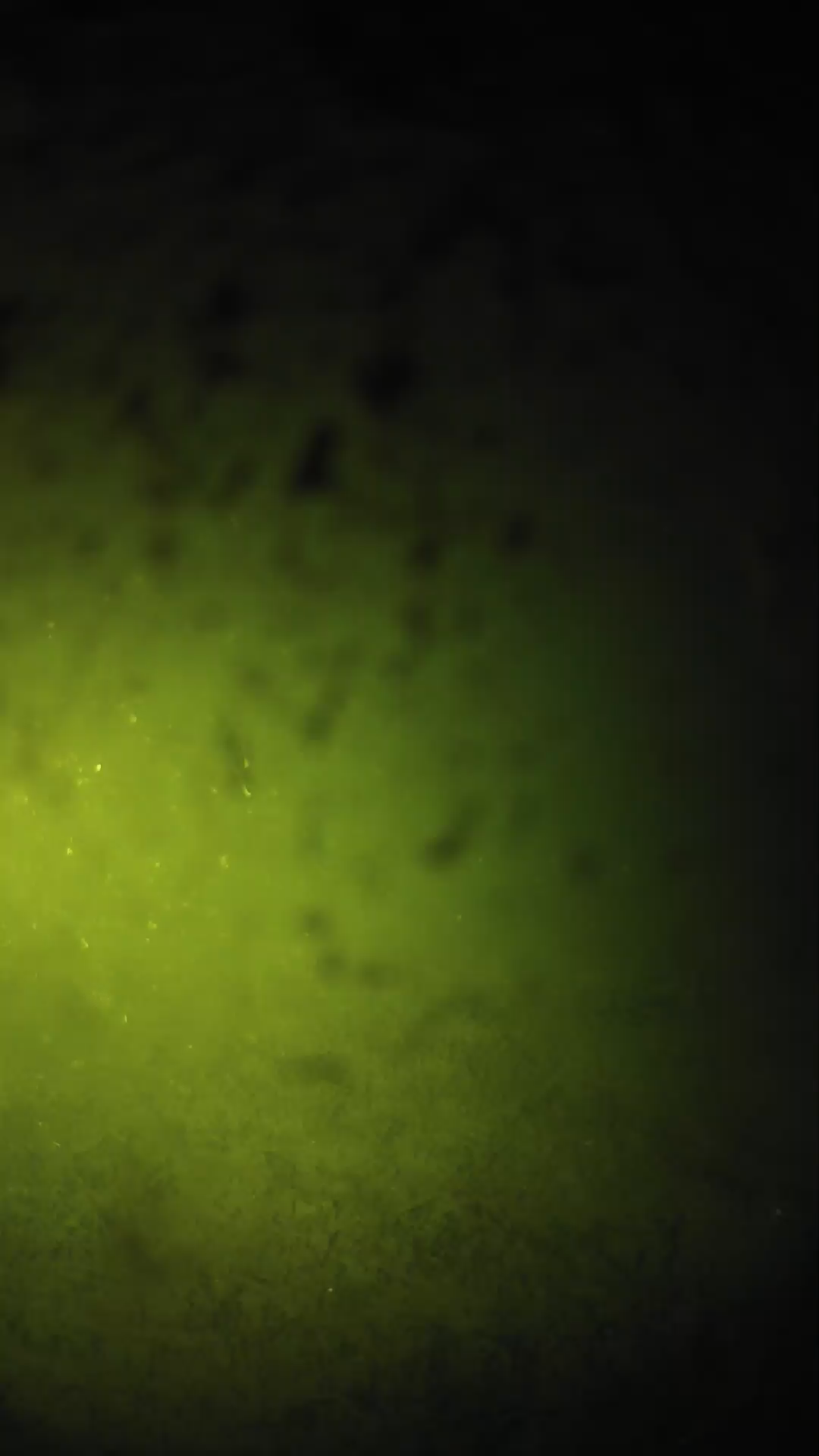 lander_ipcam_20240629233538.png