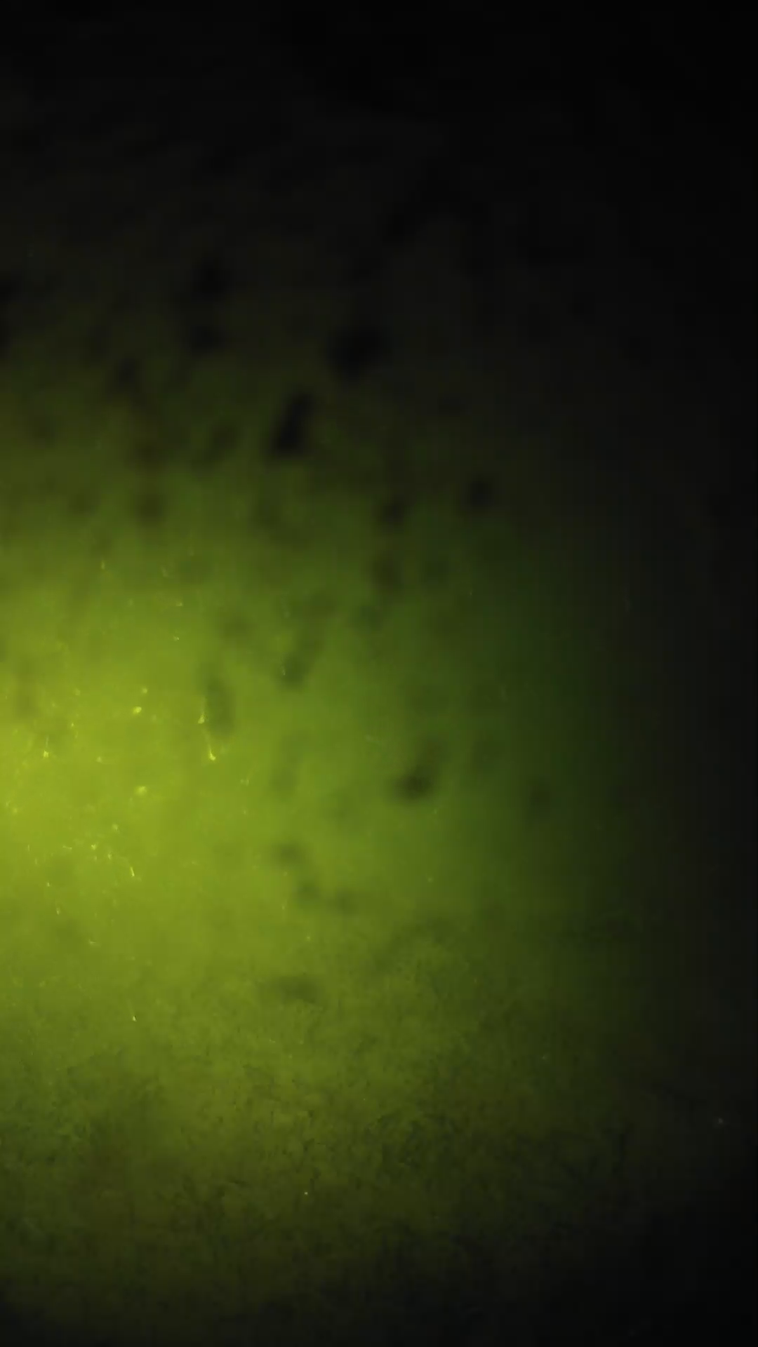 lander_ipcam_20240629233541.png
