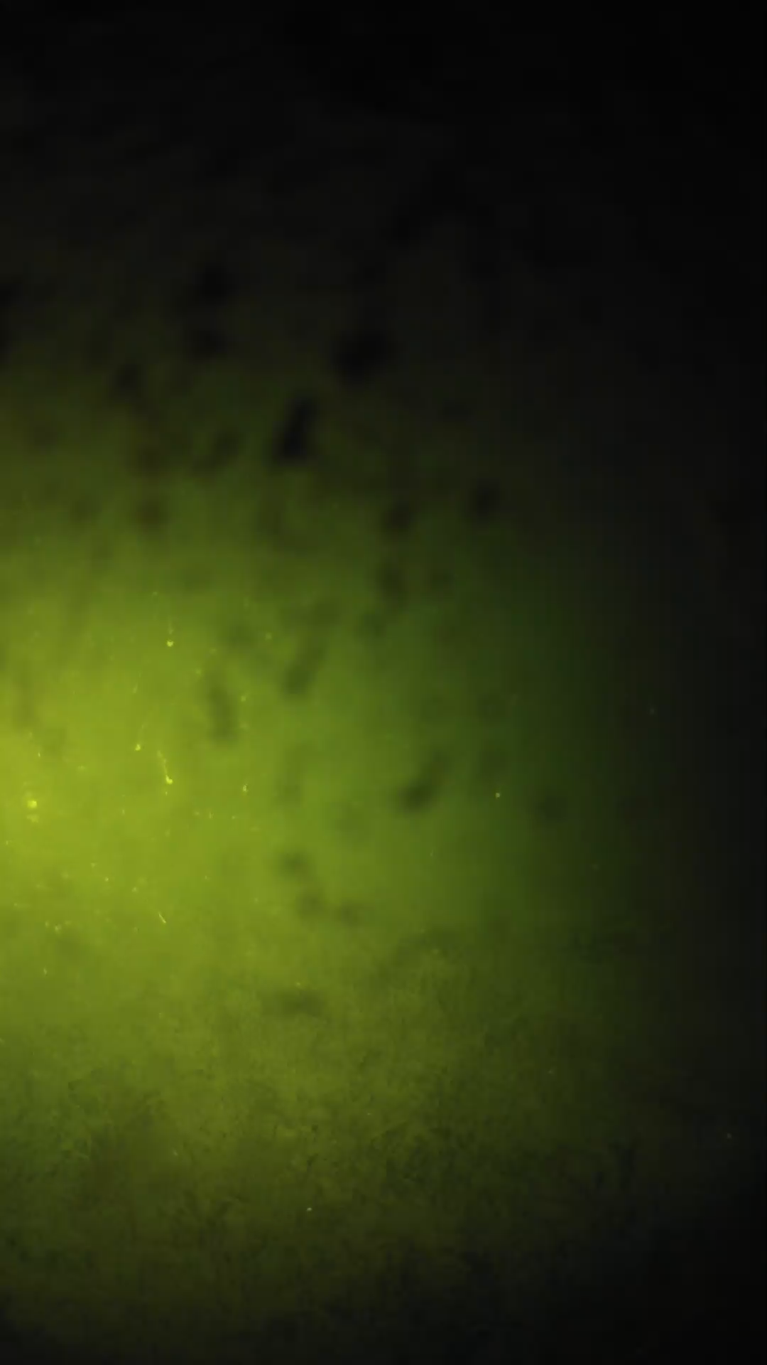 lander_ipcam_20240629233543.png