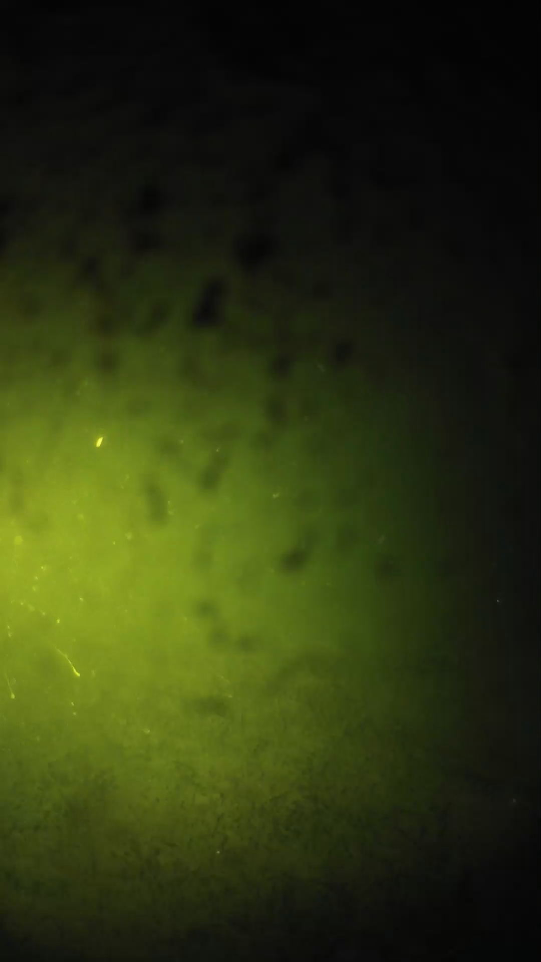 lander_ipcam_20240629233557.png