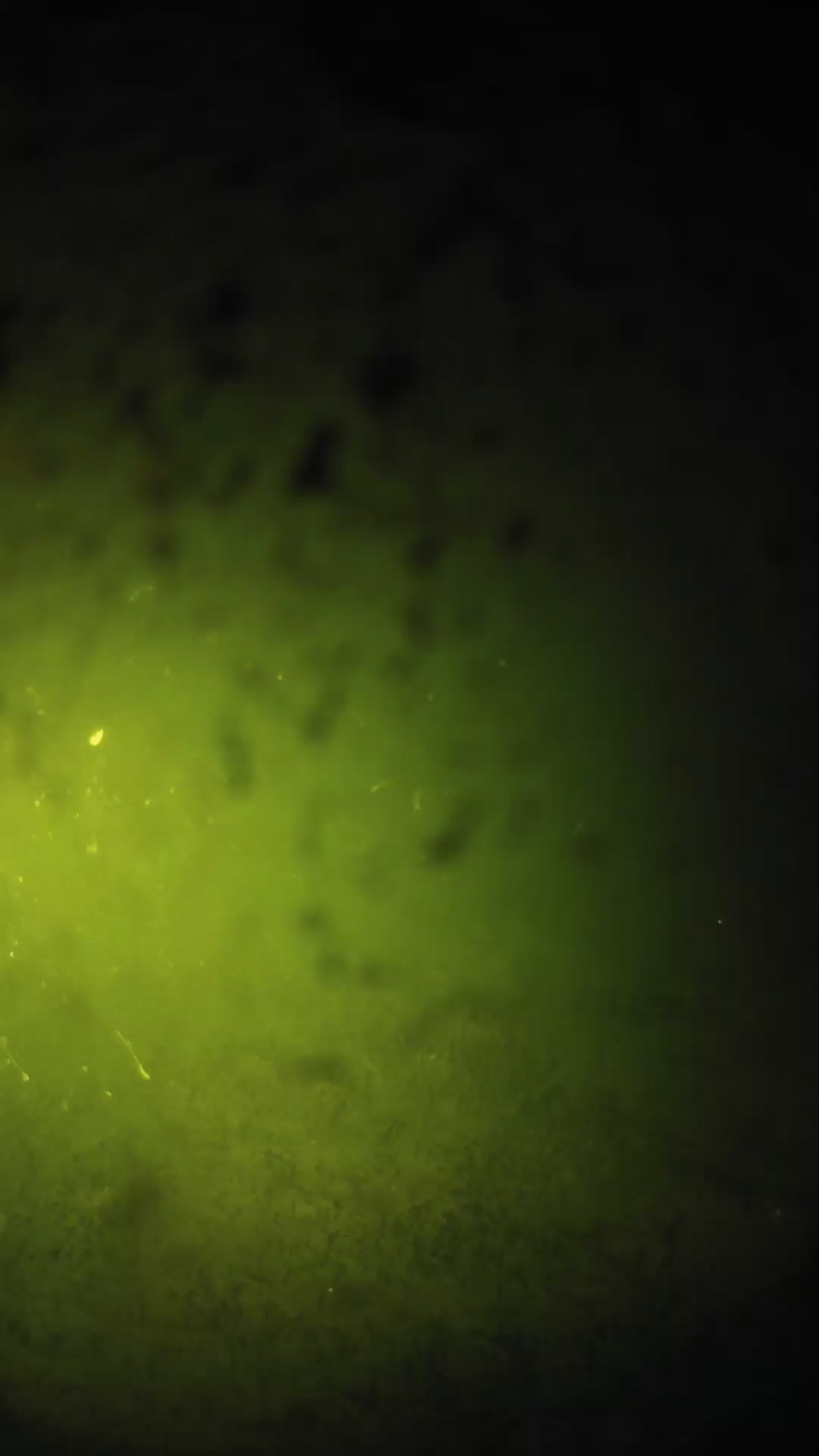 lander_ipcam_20240629233600.png