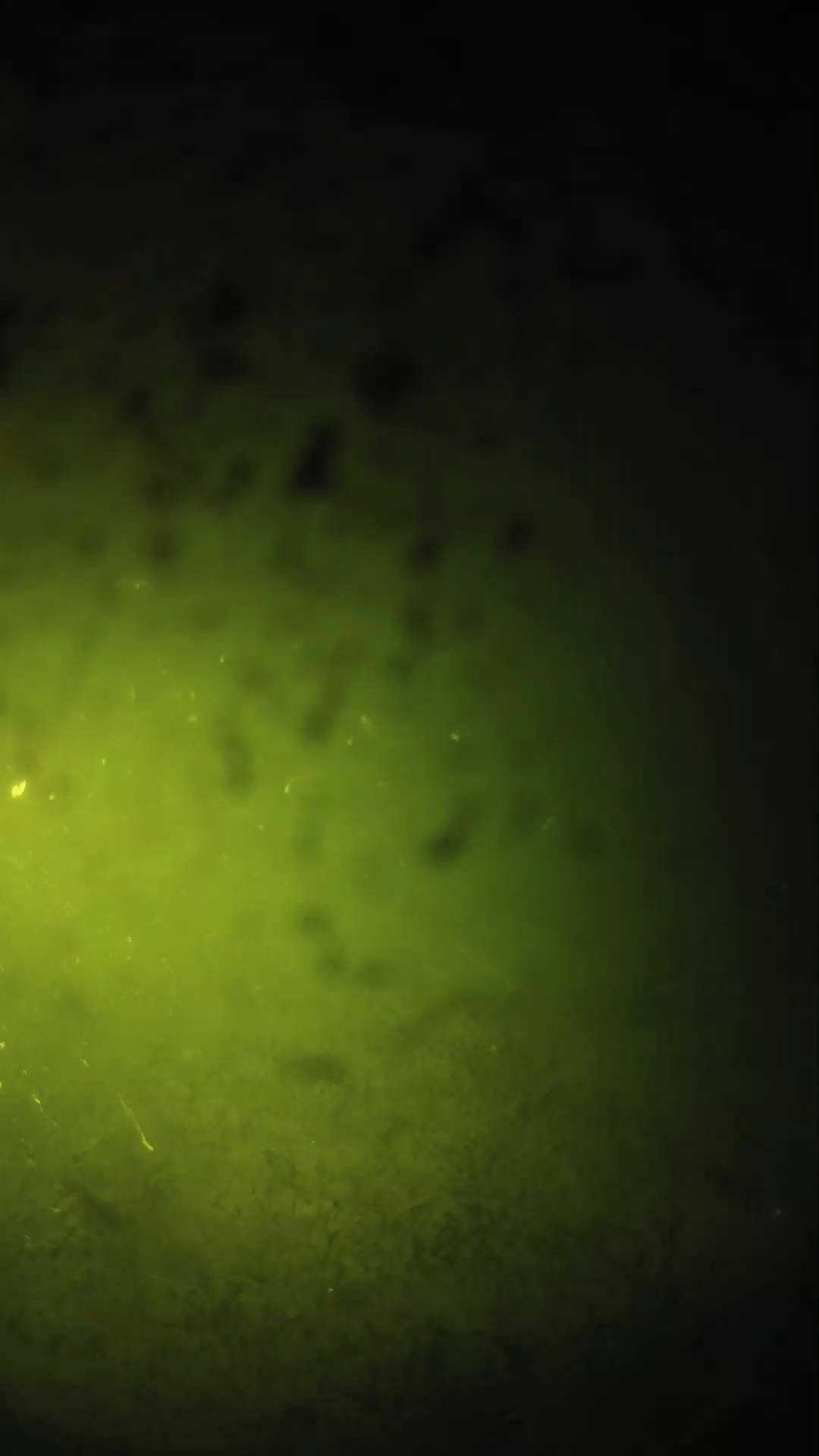 lander_ipcam_20240629233603.png
