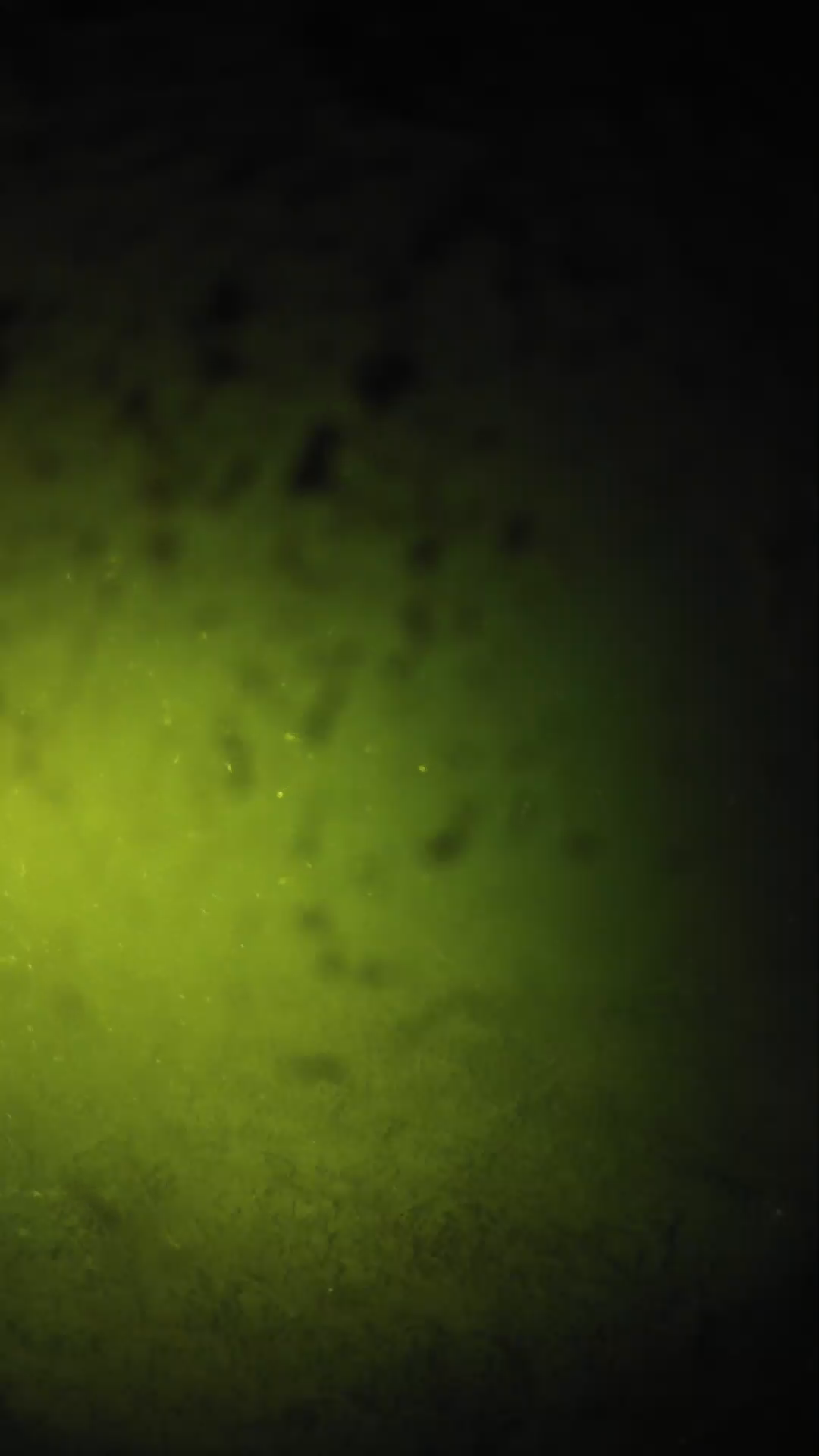 lander_ipcam_20240629233606.png