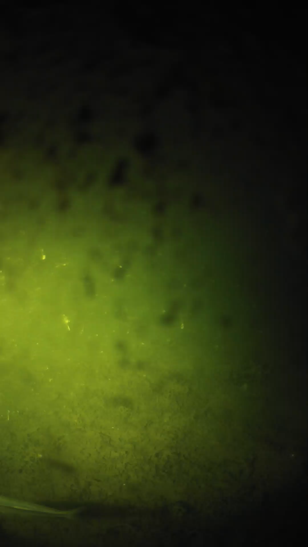 lander_ipcam_20240630000538.png