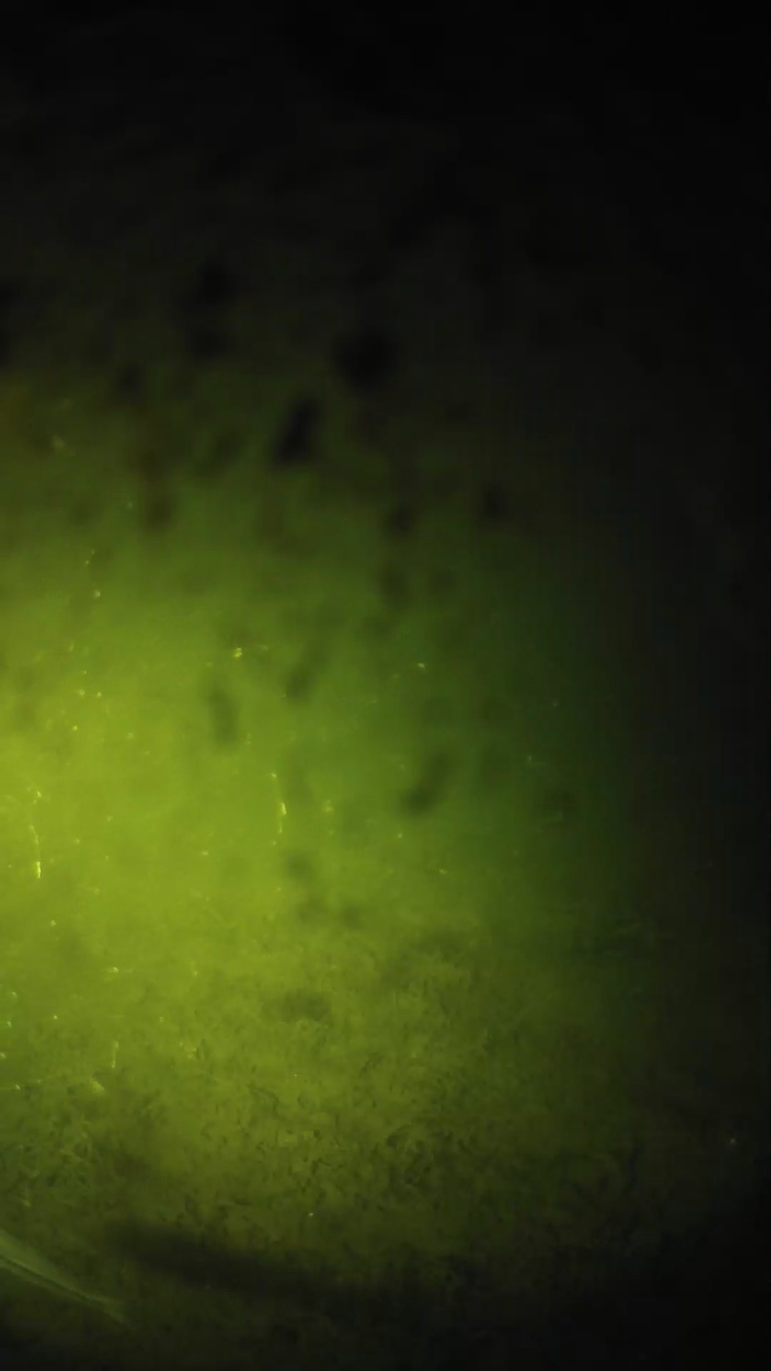 lander_ipcam_20240630000541.png