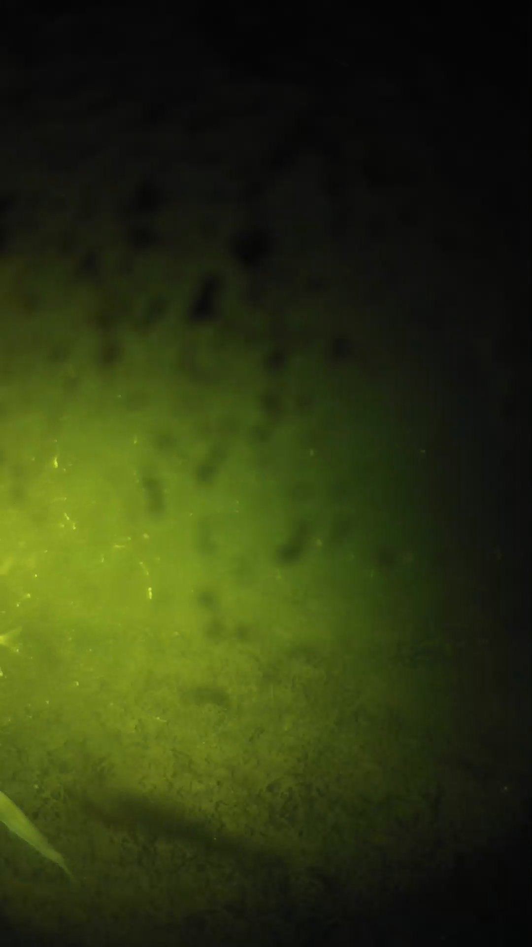 lander_ipcam_20240630000544.png