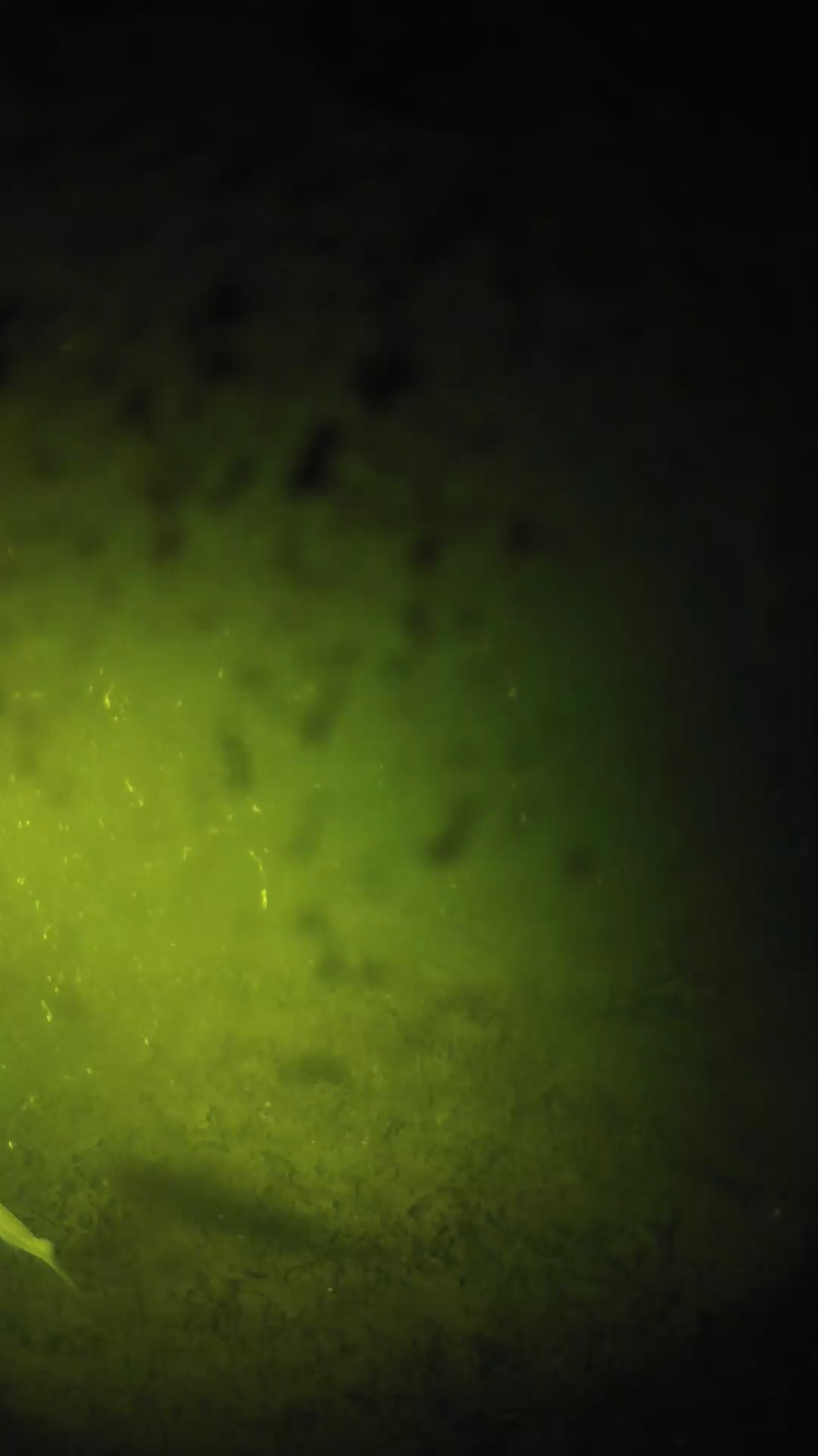 lander_ipcam_20240630000547.png