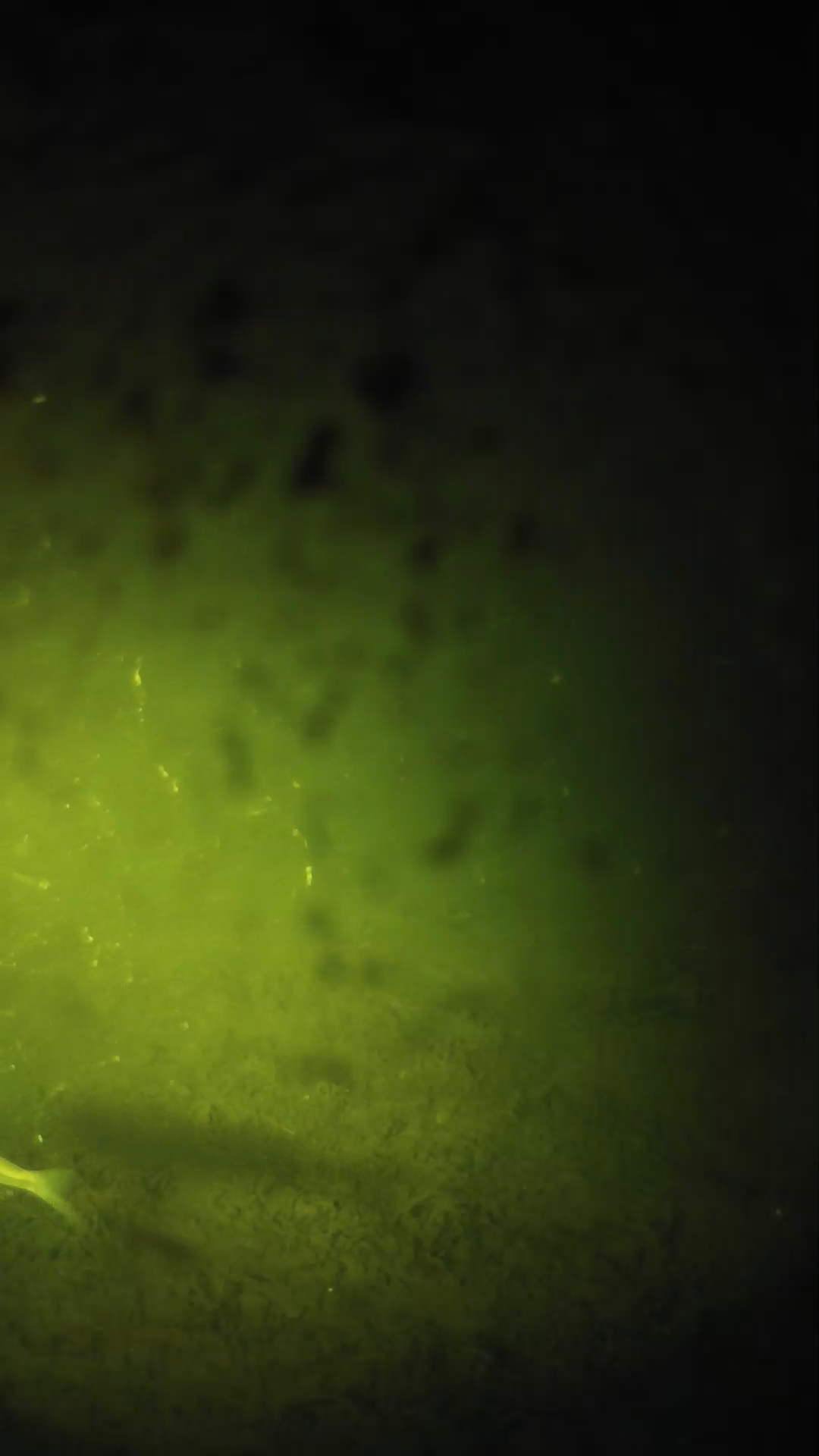 lander_ipcam_20240630000549.png