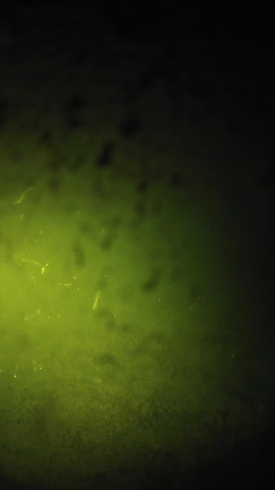 lander_ipcam_20240630003547.png