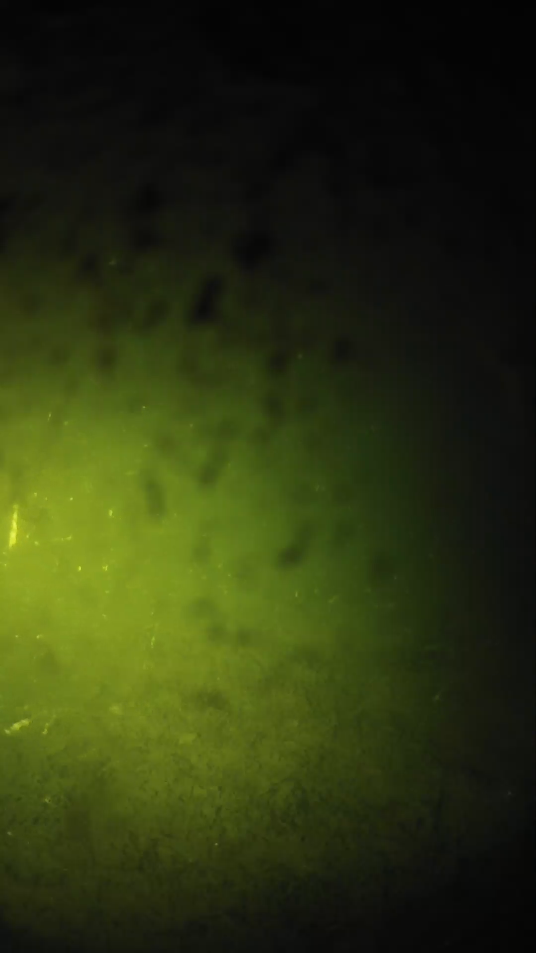 lander_ipcam_20240630003551.png